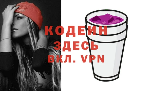 прущие грибы Вяземский