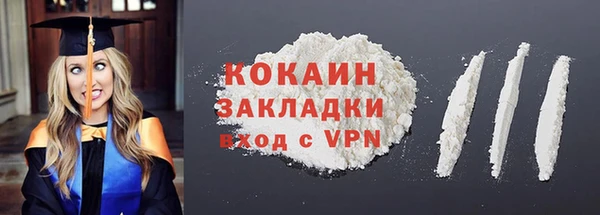 прущие грибы Вяземский