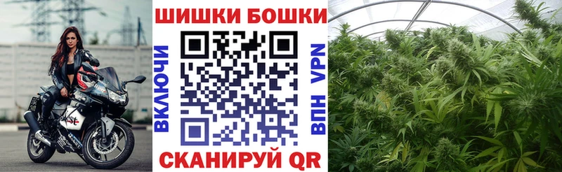 omg ССЫЛКА  где продают наркотики  Ишим  Бошки Шишки сатива 